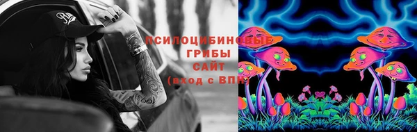 a pvp Алексеевка