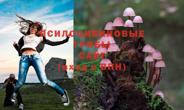 a pvp Алексеевка