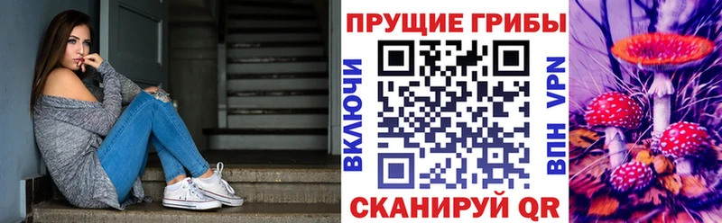 Галлюциногенные грибы Cubensis  Муром 